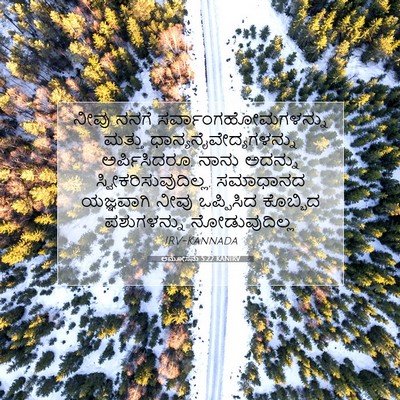 Picture 07 - ಆಮೋಸನು 5:22 KANIRV - ನೀವು ನನಗೆ - Bible Verse Picture