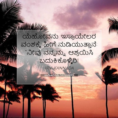 Picture 07 - ಆಮೋಸನು 5:4 KANIRV - ಯೆಹೋವನು ಇಸ್ರಾಯೇಲರ - Bible Verse Picture