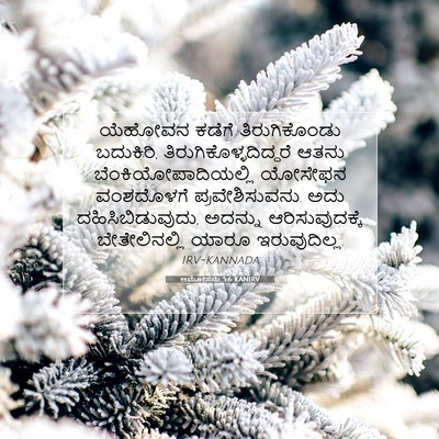 Picture 07 - ಆಮೋಸನು 5:6 KANIRV - ಯೆಹೋವನ ಕಡೆಗೆ - Bible Verse Picture