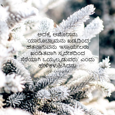 Picture 07 - ಆಮೋಸನು 7:11 KANIRV - ಅದಕ್ಕೆ ಆಮೋಸನು, - Bible Verse Picture