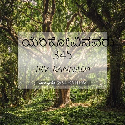 Picture 07 - ಎಜ್ರನು 2:34 KANIRV - ಯೆರಿಕೋವಿನವರು - Bible Verse Picture