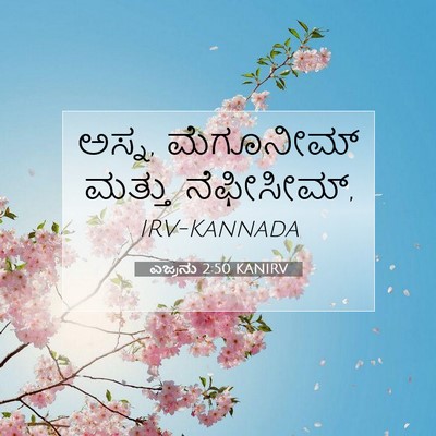 Picture 07 - ಎಜ್ರನು 2:50 KANIRV - ಅಸ್ನ, ಮೆಗೂನೀಮ್ - Bible Verse Picture