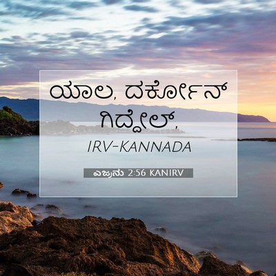 Picture 07 - ಎಜ್ರನು 2:56 KANIRV - ಯಾಲ, ದರ್ಕೋನ್ - Bible Verse Picture