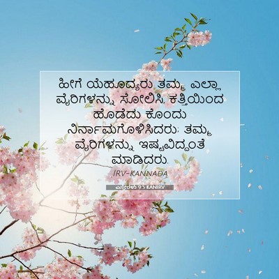 Picture 07 - ಎಸ್ತೇರಳು 9:5 KANIRV - ಹೀಗೆ ಯೆಹೂದ್ಯರು - Bible Verse Picture