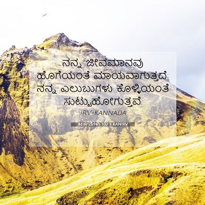 Picture 07 - ಕೀರ್ತನೆಗಳು 102:3 KANIRV - ನನ್ನ ಜೀವಮಾನವು - Bible Verse Picture
