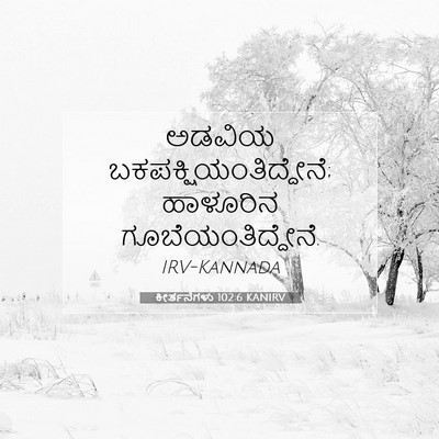 Picture 07 - ಕೀರ್ತನೆಗಳು 102:6 KANIRV - ಅಡವಿಯ - Bible Verse Picture
