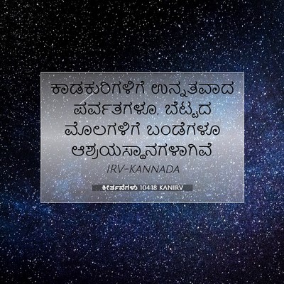 Picture 07 - ಕೀರ್ತನೆಗಳು 104:18 KANIRV - ಕಾಡಕುರಿಗಳಿಗೆ - Bible Verse Picture