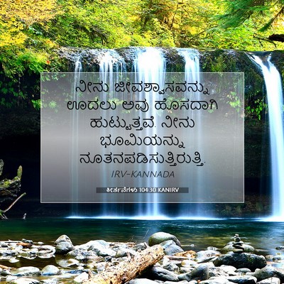 Picture 07 - ಕೀರ್ತನೆಗಳು 104:30 KANIRV - ನೀನು - Bible Verse Picture