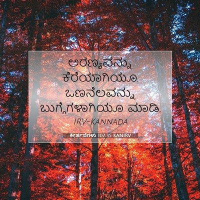 Picture 07 - ಕೀರ್ತನೆಗಳು 107:35 KANIRV - ಅರಣ್ಯವನ್ನು - Bible Verse Picture