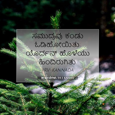 Picture 07 - ಕೀರ್ತನೆಗಳು 114:3 KANIRV - ಸಮುದ್ರವು ಕಂಡು - Bible Verse Picture