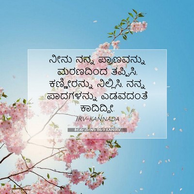 Picture 07 - ಕೀರ್ತನೆಗಳು 116:9 KANIRV - ನೀನು ನನ್ನ - Bible Verse Picture