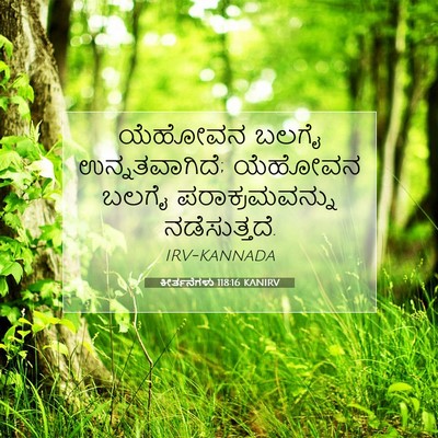 Picture 07 - ಕೀರ್ತನೆಗಳು 118:16 KANIRV - ಯೆಹೋವನ ಬಲಗೈ - Bible Verse Picture
