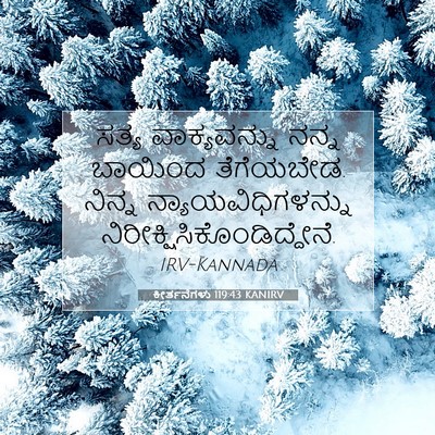 Picture 07 - ಕೀರ್ತನೆಗಳು 119:43 KANIRV - ಸತ್ಯ ವಾಕ್ಯವನ್ನು - Bible Verse Picture