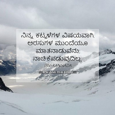 Picture 07 - ಕೀರ್ತನೆಗಳು 119:46 KANIRV - ನಿನ್ನ ಕಟ್ಟಳೆಗಳ - Bible Verse Picture