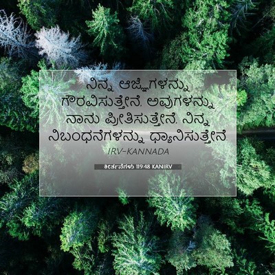 Picture 07 - ಕೀರ್ತನೆಗಳು 119:48 KANIRV - ನಿನ್ನ ಆಜ್ಞೆಗಳನ್ನು - Bible Verse Picture