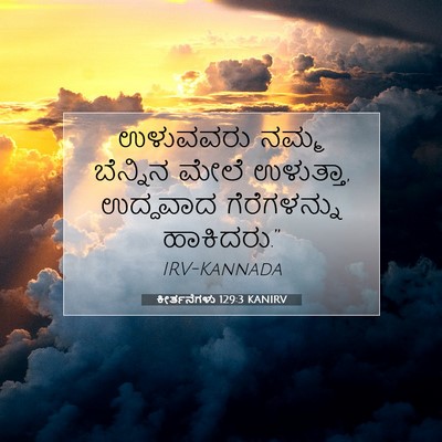 Picture 07 - ಕೀರ್ತನೆಗಳು 129:3 KANIRV - ಉಳುವವರು ನಮ್ಮ - Bible Verse Picture