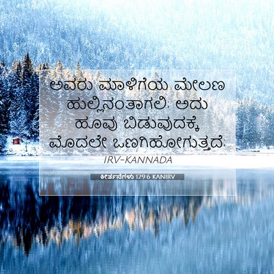 Picture 07 - ಕೀರ್ತನೆಗಳು 129:6 KANIRV - ಅವರು ಮಾಳಿಗೆಯ ಮೇಲಣ - Bible Verse Picture