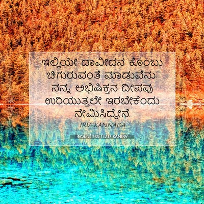 Picture 07 - ಕೀರ್ತನೆಗಳು 132:17 KANIRV - ಇಲ್ಲಿಯೇ ದಾವೀದನ - Bible Verse Picture