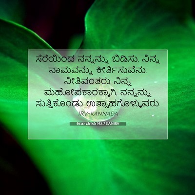 Picture 07 - ಕೀರ್ತನೆಗಳು 142:7 KANIRV - ಸೆರೆಯಿಂದ ನನ್ನನ್ನು - Bible Verse Picture