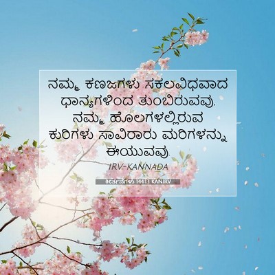 Picture 07 - ಕೀರ್ತನೆಗಳು 144:13 KANIRV - ನಮ್ಮ ಕಣಜಗಳು - Bible Verse Picture