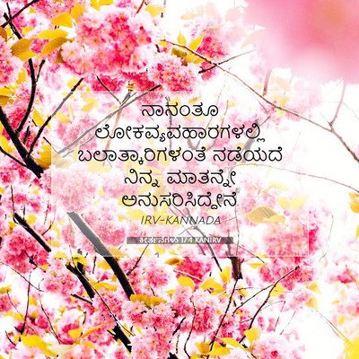 Picture 07 - ಕೀರ್ತನೆಗಳು 17:4 KANIRV - ನಾನಂತೂ - Bible Verse Picture