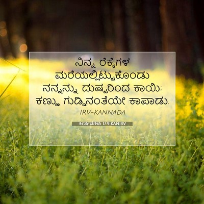 Picture 07 - ಕೀರ್ತನೆಗಳು 17:9 KANIRV - ನಿನ್ನ ರೆಕ್ಕೆಗಳ - Bible Verse Picture