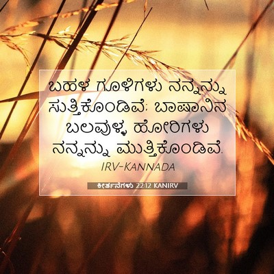 Picture 07 - ಕೀರ್ತನೆಗಳು 22:12 KANIRV - ಬಹಳ ಗೂಳಿಗಳು - Bible Verse Picture