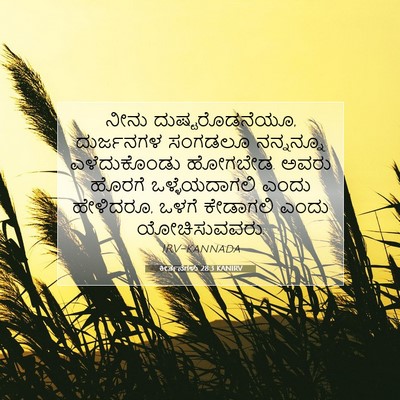Picture 07 - ಕೀರ್ತನೆಗಳು 28:3 KANIRV - ನೀನು - Bible Verse Picture