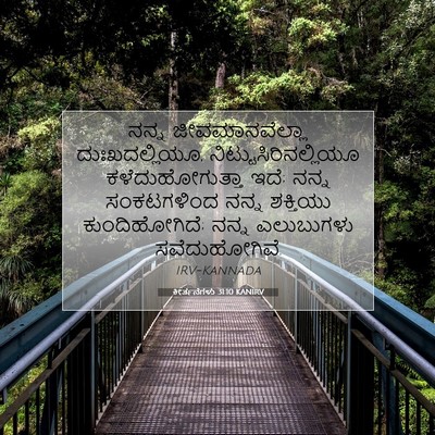 Picture 07 - ಕೀರ್ತನೆಗಳು 31:10 KANIRV - ನನ್ನ ಜೀವಮಾನವೆಲ್ಲಾ - Bible Verse Picture