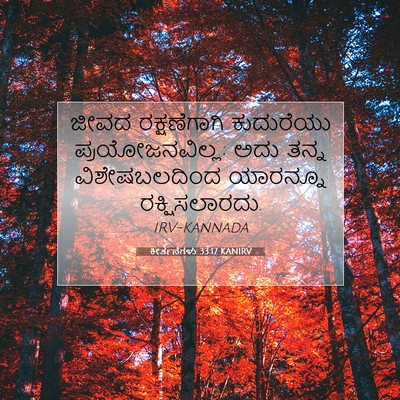 Picture 07 - ಕೀರ್ತನೆಗಳು 33:17 KANIRV - ಜೀವದ ರಕ್ಷಣೆಗಾಗಿ - Bible Verse Picture