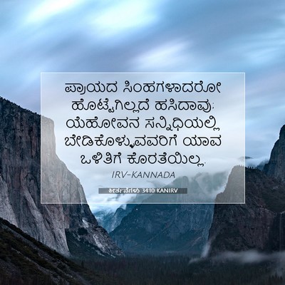 Picture 07 - ಕೀರ್ತನೆಗಳು 34:10 KANIRV - ಪ್ರಾಯದ ಸಿಂಹಗಳಾದರೋ - Bible Verse Picture