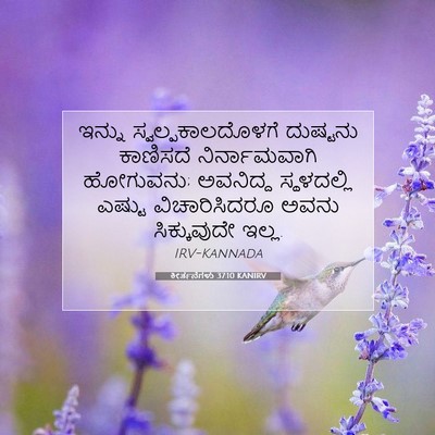 Picture 07 - ಕೀರ್ತನೆಗಳು 37:10 KANIRV - ಇನ್ನು - Bible Verse Picture