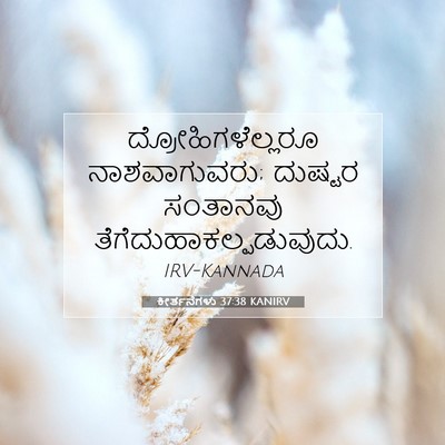 Picture 07 - ಕೀರ್ತನೆಗಳು 37:38 KANIRV - ದ್ರೋಹಿಗಳೆಲ್ಲರೂ - Bible Verse Picture