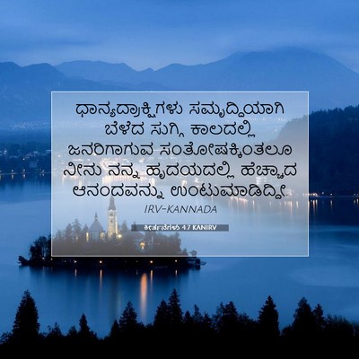 Picture 07 - ಕೀರ್ತನೆಗಳು 4:7 KANIRV - ಧಾನ್ಯದ್ರಾಕ್ಷಿಗಳು - Bible Verse Picture
