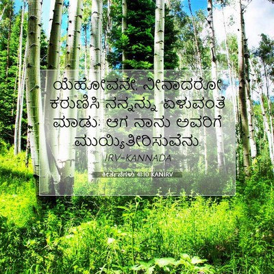 Picture 07 - ಕೀರ್ತನೆಗಳು 41:10 KANIRV - ಯೆಹೋವನೇ, ನೀನಾದರೋ - Bible Verse Picture