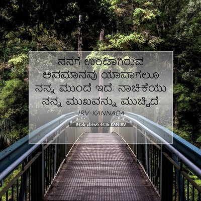 Picture 07 - ಕೀರ್ತನೆಗಳು 44:16 KANIRV - ನನಗೆ ಉಂಟಾಗಿರುವ - Bible Verse Picture