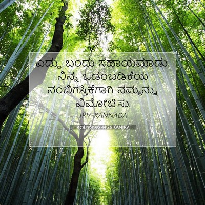 Picture 07 - ಕೀರ್ತನೆಗಳು 44:26 KANIRV - ಎದ್ದು ಬಂದು - Bible Verse Picture