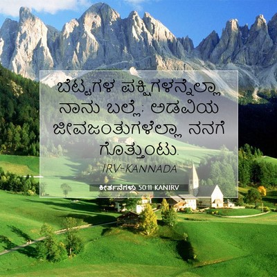 Picture 07 - ಕೀರ್ತನೆಗಳು 50:11 KANIRV - ಬೆಟ್ಟಗಳ - Bible Verse Picture