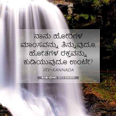 Picture 07 - ಕೀರ್ತನೆಗಳು 50:13 KANIRV - ನಾನು ಹೋರಿಗಳ - Bible Verse Picture