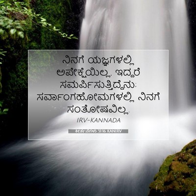 Picture 07 - ಕೀರ್ತನೆಗಳು 51:16 KANIRV - ನಿನಗೆ ಯಜ್ಞಗಳಲ್ಲಿ - Bible Verse Picture