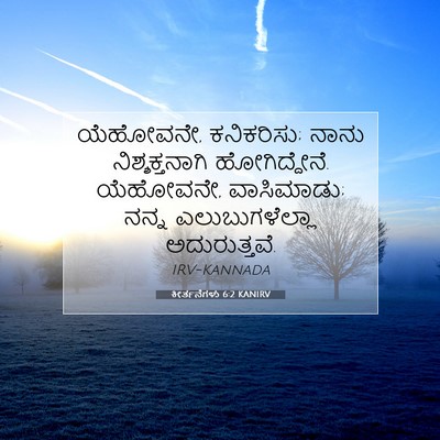 Picture 07 - ಕೀರ್ತನೆಗಳು 6:2 KANIRV - ಯೆಹೋವನೇ, ಕನಿಕರಿಸು; - Bible Verse Picture