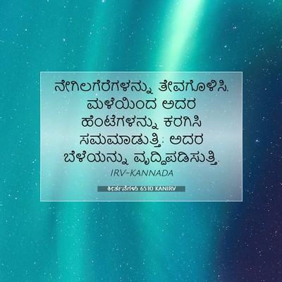 Picture 07 - ಕೀರ್ತನೆಗಳು 65:10 KANIRV - ನೇಗಿಲಗೆರೆಗಳನ್ನು - Bible Verse Picture