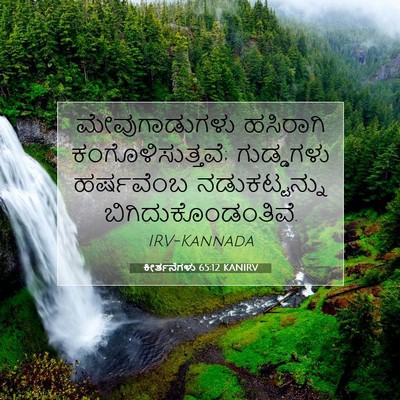 Picture 07 - ಕೀರ್ತನೆಗಳು 65:12 KANIRV - ಮೇವುಗಾಡುಗಳು - Bible Verse Picture