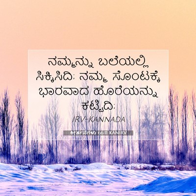 Picture 07 - ಕೀರ್ತನೆಗಳು 66:11 KANIRV - ನಮ್ಮನ್ನು ಬಲೆಯಲ್ಲಿ - Bible Verse Picture
