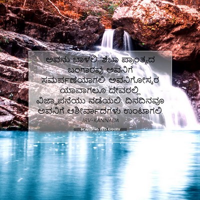 Picture 07 - ಕೀರ್ತನೆಗಳು 72:15 KANIRV - ಅವನು ಬಾಳಲಿ; ಶೆಬಾ - Bible Verse Picture