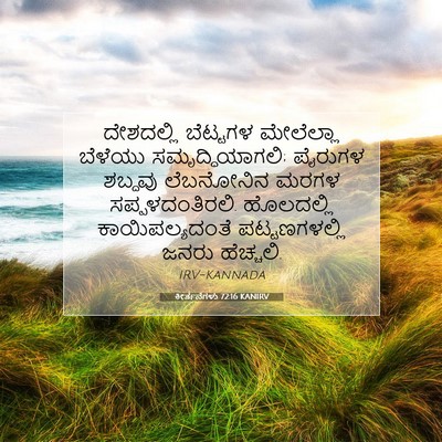 Picture 07 - ಕೀರ್ತನೆಗಳು 72:16 KANIRV - ದೇಶದಲ್ಲಿ ಬೆಟ್ಟಗಳ - Bible Verse Picture
