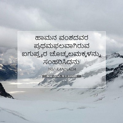 Picture 07 - ಕೀರ್ತನೆಗಳು 78:51 KANIRV - ಹಾಮನ ವಂಶದವರ - Bible Verse Picture