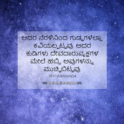 Picture 07 - ಕೀರ್ತನೆಗಳು 80:10 KANIRV - ಅದರ ನೆರಳಿನಿಂದ - Bible Verse Picture