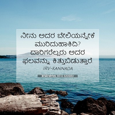 Picture 07 - ಕೀರ್ತನೆಗಳು 80:12 KANIRV - ನೀನು ಅದರ - Bible Verse Picture