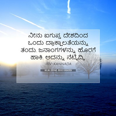 Picture 07 - ಕೀರ್ತನೆಗಳು 80:8 KANIRV - ನೀನು ಐಗುಪ್ತ - Bible Verse Picture